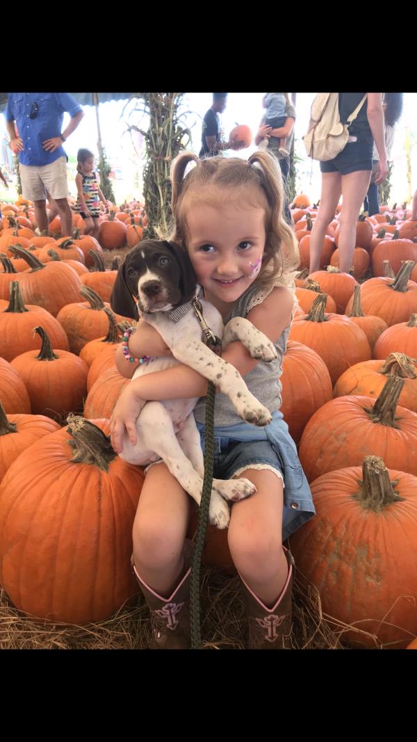 /Images/uploads/Southeast German Shorthaired Pointer Rescue/segspcalendarcontest2018/entries/8873thumb.jpg